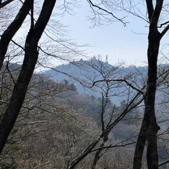 唐沢峠からは大山山頂がはるか遠く見える😂