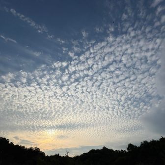 今日は所用で竜王アウトレットに🐉
帰りに少し時間があったので鏡山へ
空のうろこ雲を眺めながら少しおさんぽすることにしました🚶‍♀️🎶