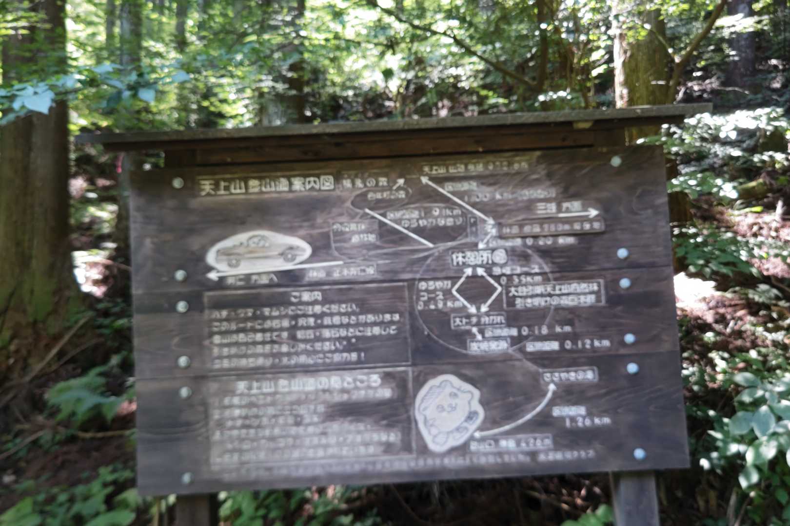 龍頭峡交流の森 森林館-天上山登山口-天上山 往復コースの写真