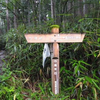 さて、今日はどこまで？