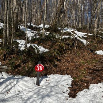 いよいよスタート

20日金曜日に落とし物されたサーモスの水筒ありましたよ