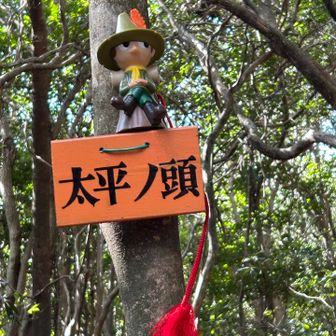 次は、大平谷の頭、あれッ、谷は付かないの？
これで頭シリーズも、３８座となりました。