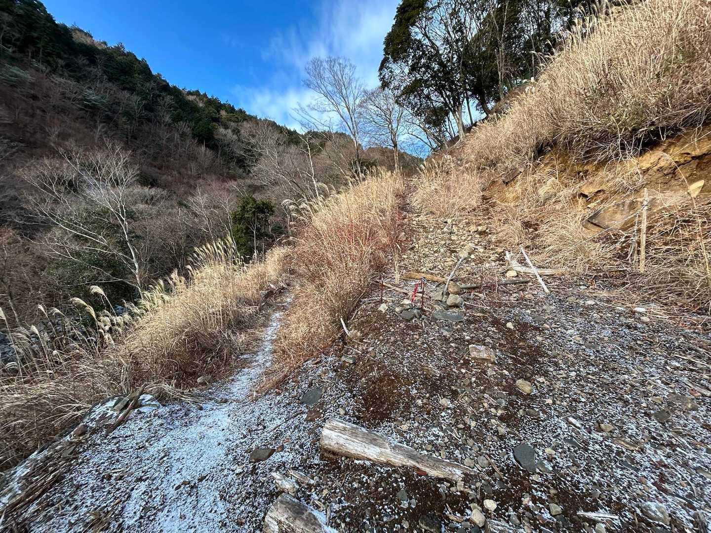 右、左どっち⁉️

右の方が登りになってるから右かなぁと思うけど、正解は左です👈
