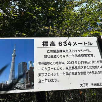 だいたいスカイツリーと同じくらいの高さなのですね