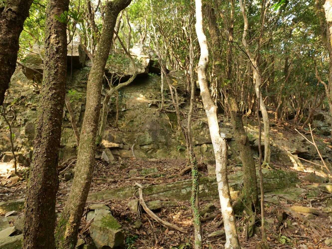 このまま下山するのも物足りないと思い、悩んだが生き当たりばったりで分岐の先のグレーピークを目指す事にした。
尾根をたどって歩いてると困難そうな岩場にあたったので。