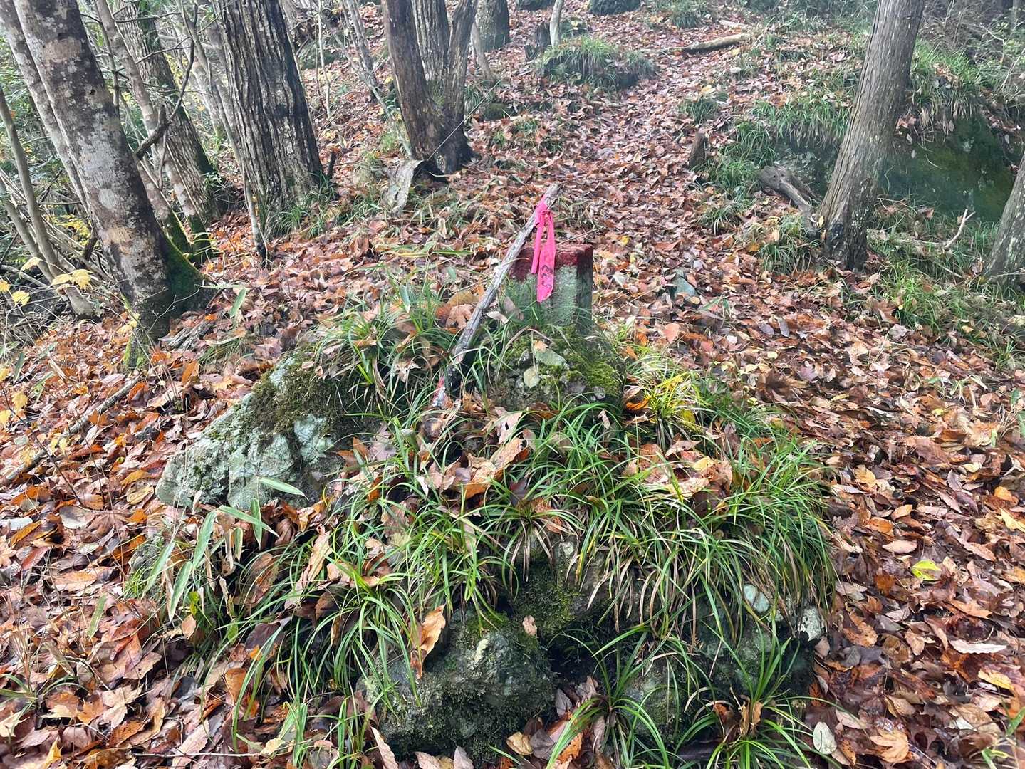 鍋転山-月居山-月居観音堂 周回コースの写真