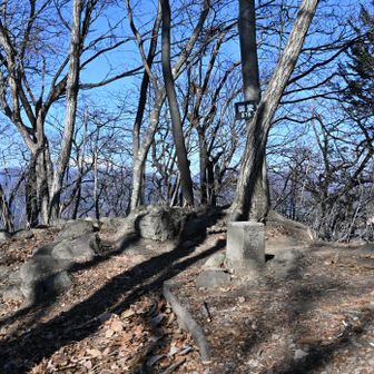 御堂山山頂はこんな感じ