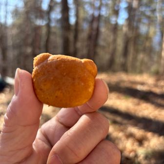 いただいた、可愛いパンダのカステラ♪