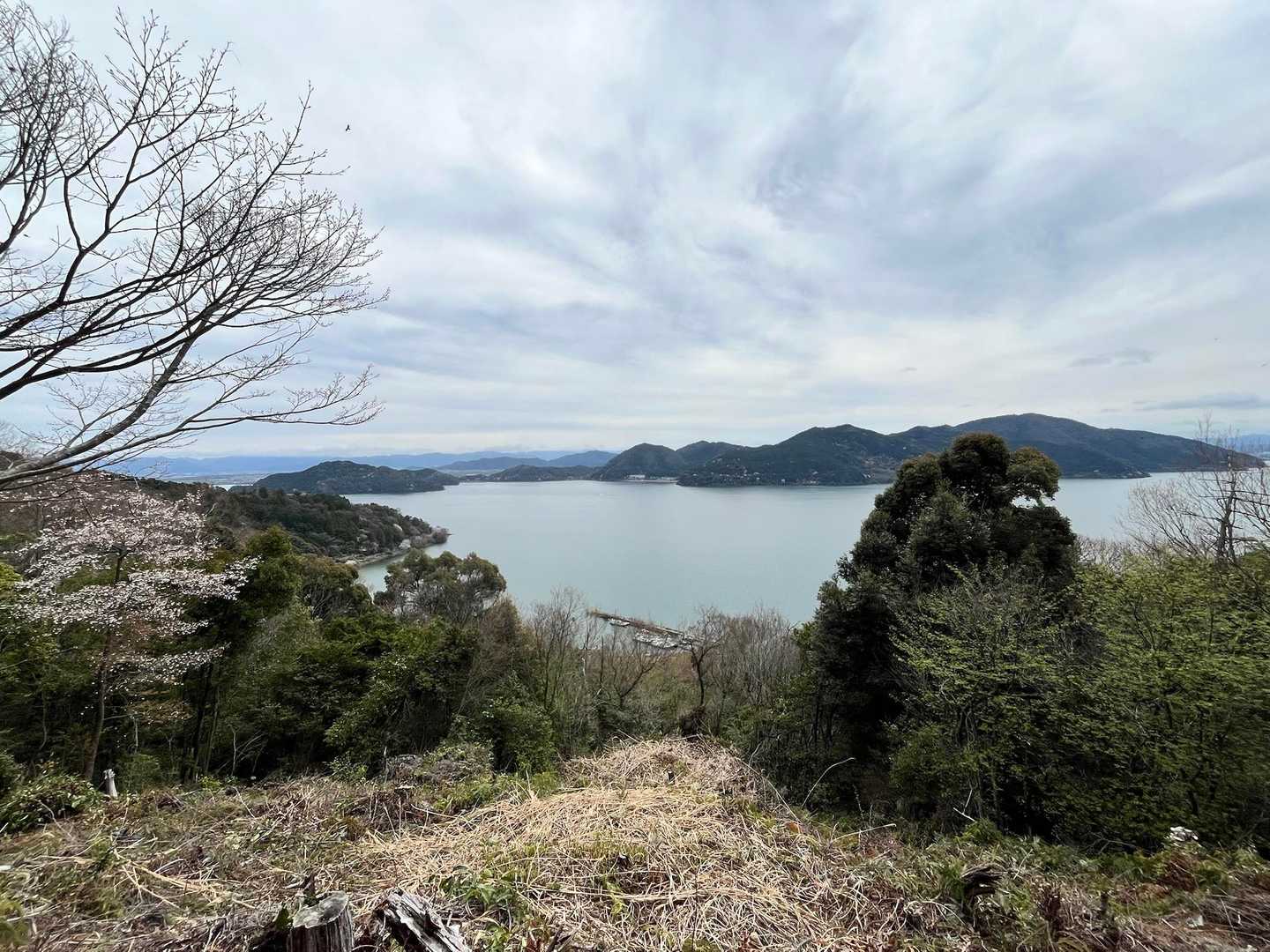 沖島の山の上から見えた琵琶湖は神秘的な雰囲気✨️