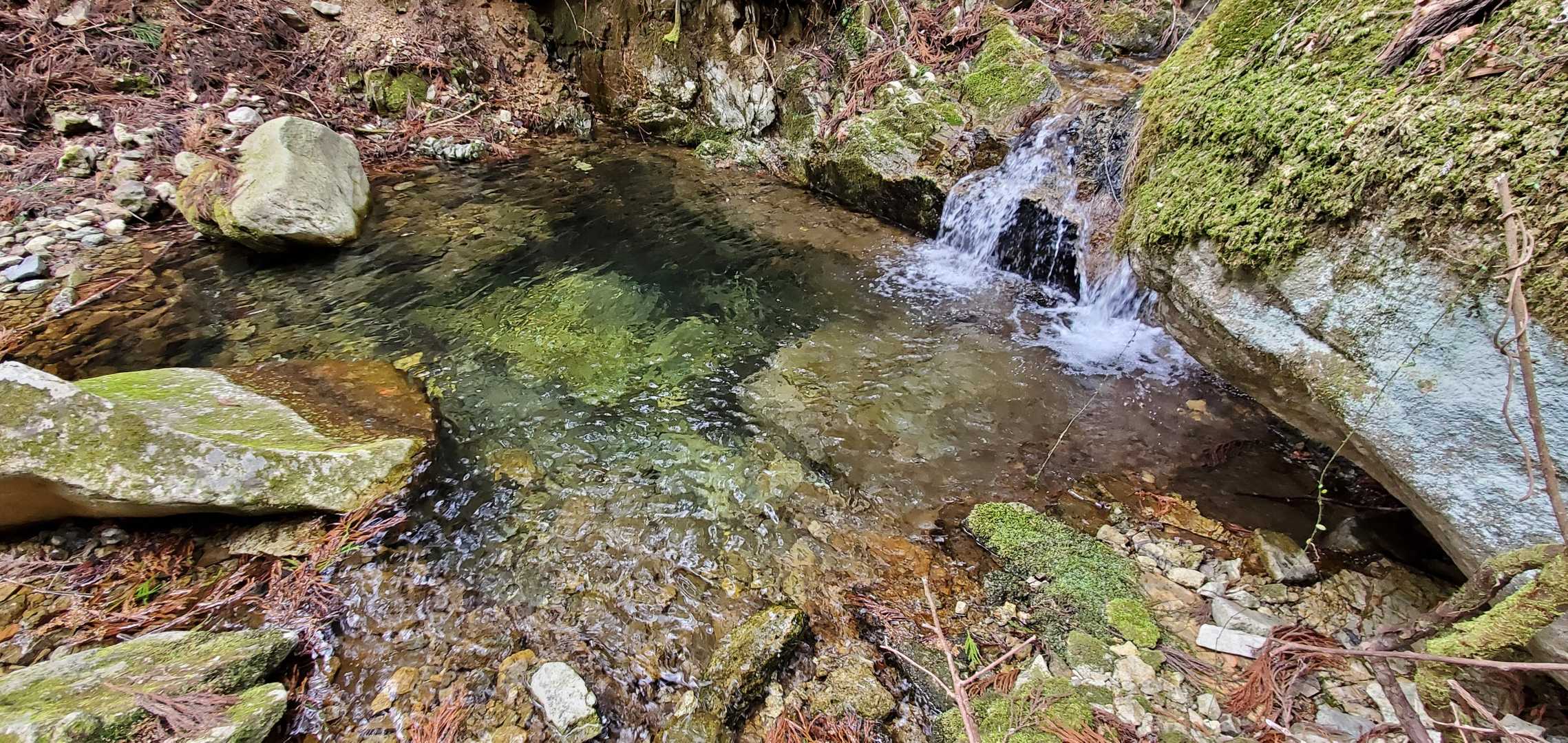 綺麗な澄んだ水