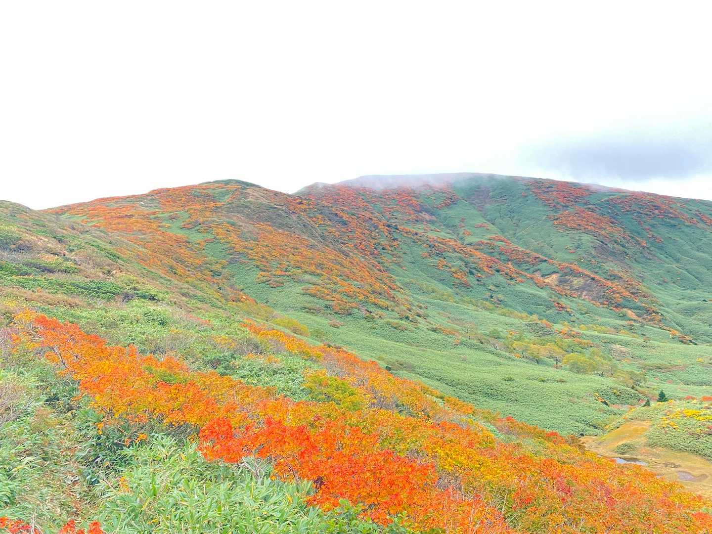 湯森山-笊森山-烏帽子岳 縦走コースの写真