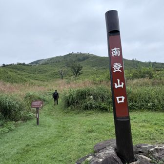 スタートする前に、サギソウを撮りに行ったけど、
何処にも咲いてなかった(T ^ T)
🐗のせい？もう咲き終わった？