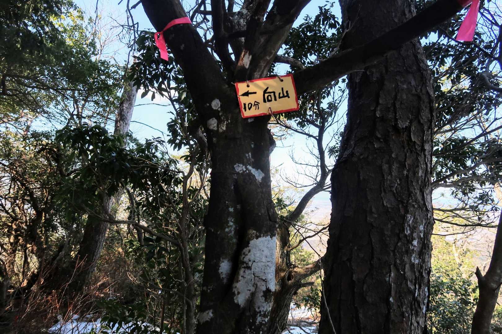 向山への分岐