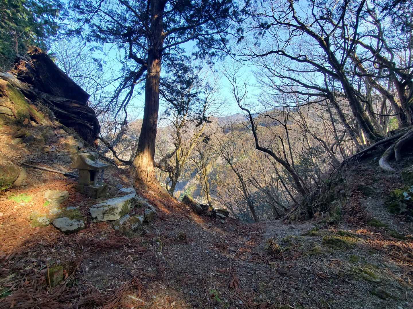 浦山大日堂-独標 往復コースの写真