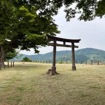 階段を登ると、思いがけず鳥居があった⛩️
