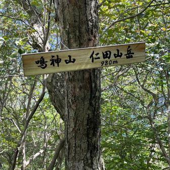 新看板🤩