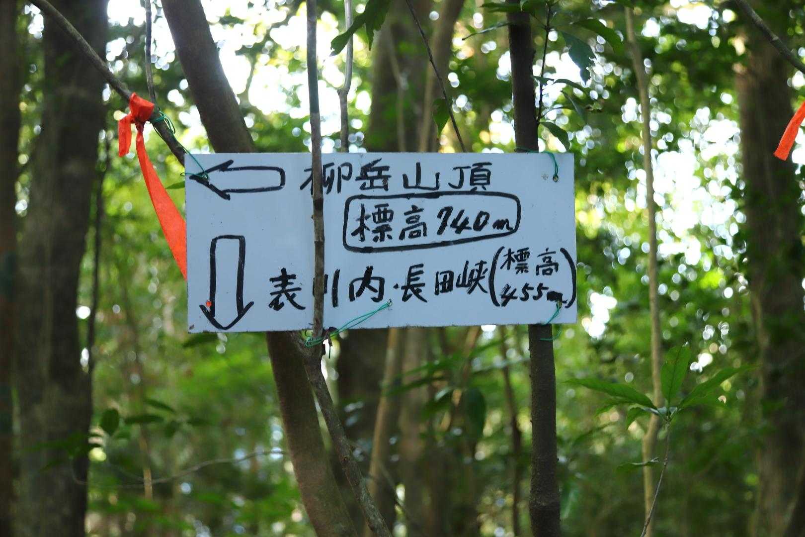 柳岳登山口-柳岳 往復コースの写真