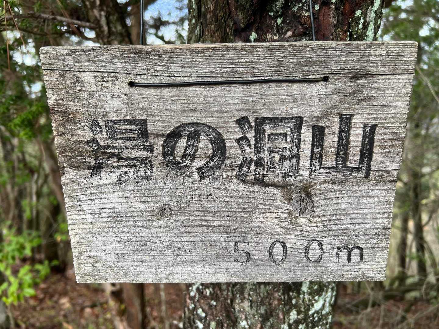 高山きた😀