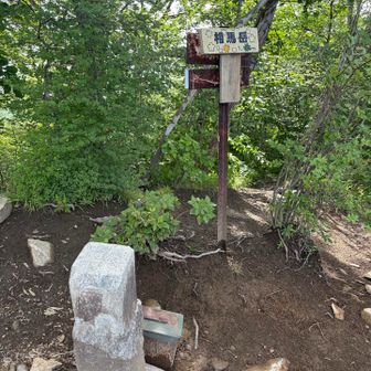 妙義山山頂