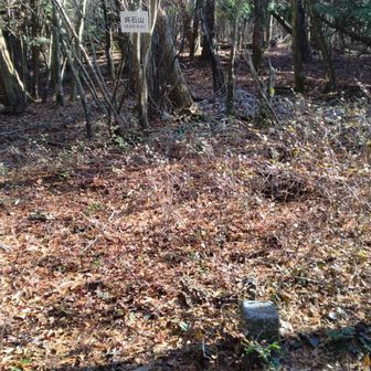 気がつくと呉石山を過ぎている。
引き返し、斜面を直登する。
見晴らしは無い。