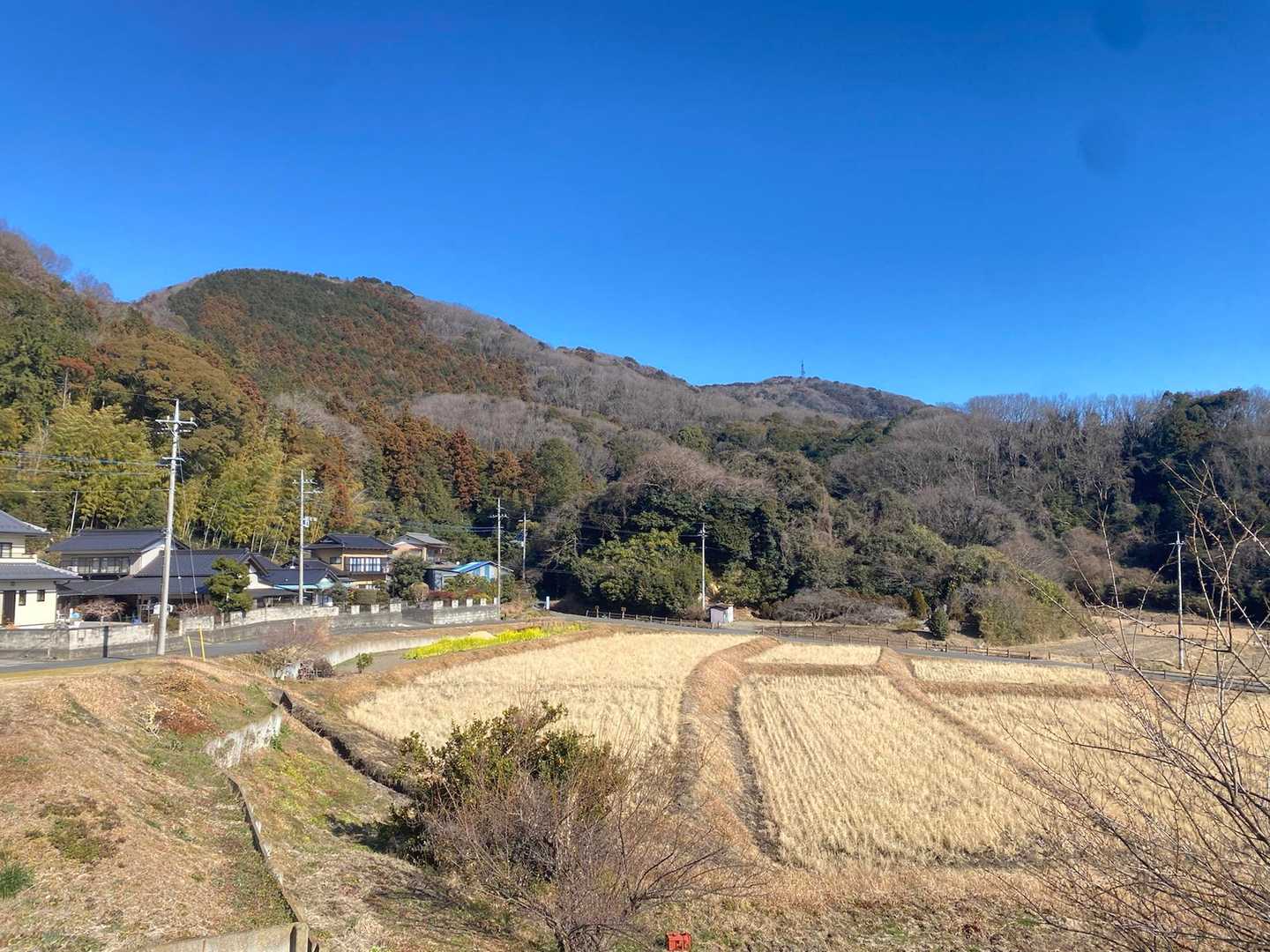 いつかはこのような長閑な風景を眺められる場所の近くに住んでみたいです☺️
