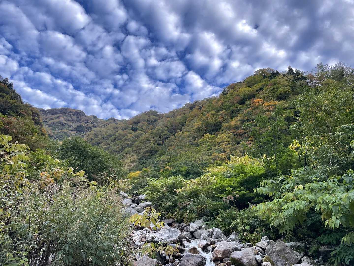 戸倉出合
渡渉②
