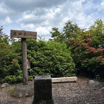全景を撮ってみた
少人数のランチはOK