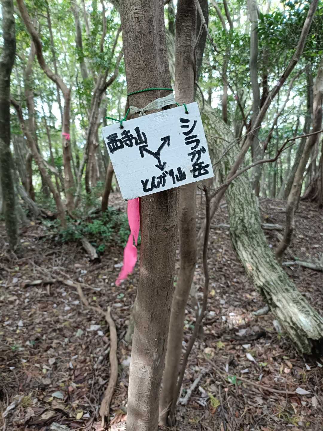 お次は西寺山に向かいます。