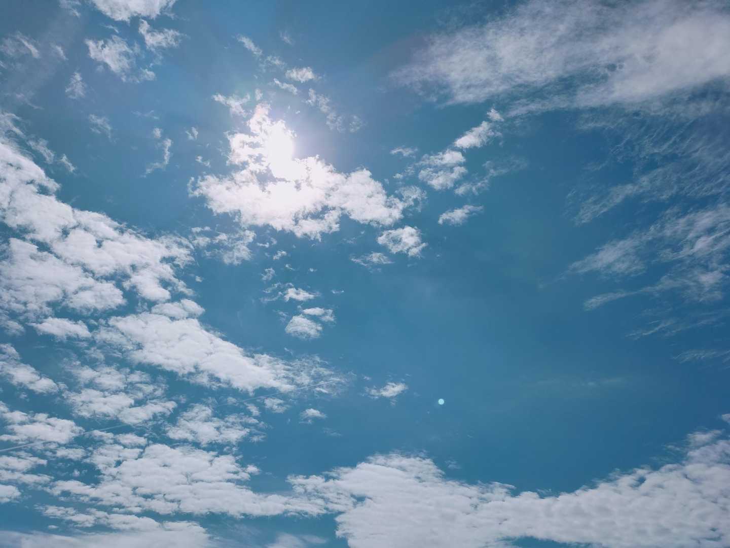 帰宅したら、
「厳しい残暑が続いているので、引き続き熱中症に注意して」
とテレビの人が言っています。
今日のハイキングは暑かった～🥵