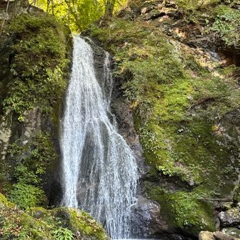 滝の目の前まで行けます