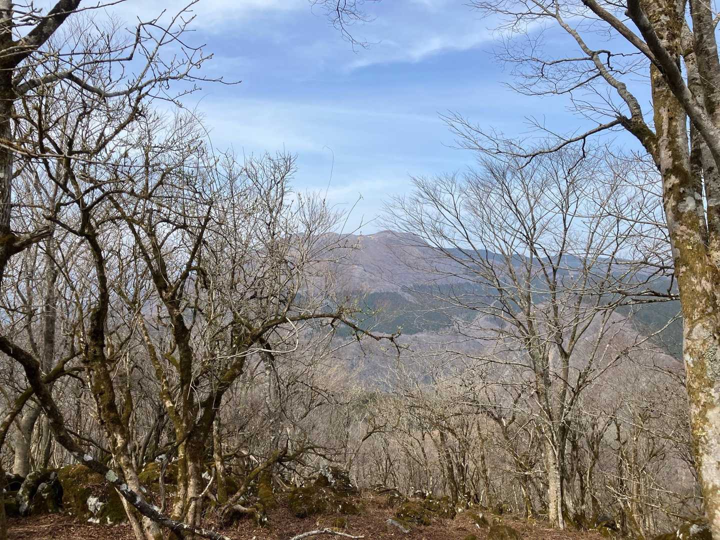 霊仙山かなぁ？