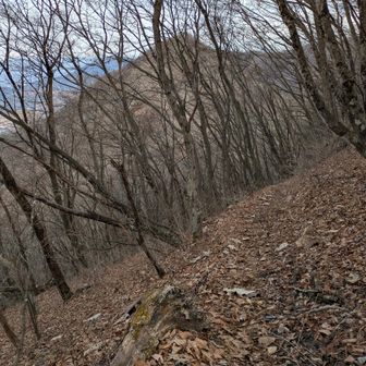 目の前の中岳を見ながら🥾
