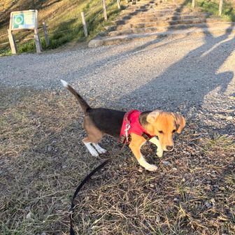 何故と言われても、コワイのです😭