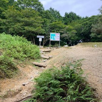 はちー