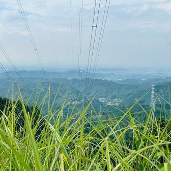 平野部。