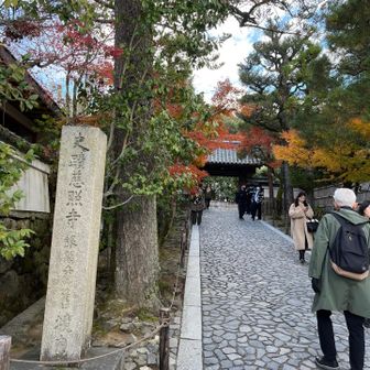 銀閣寺は入り口だけ、入ると広いので時間が足りない。横のお店でおうどん食べました。