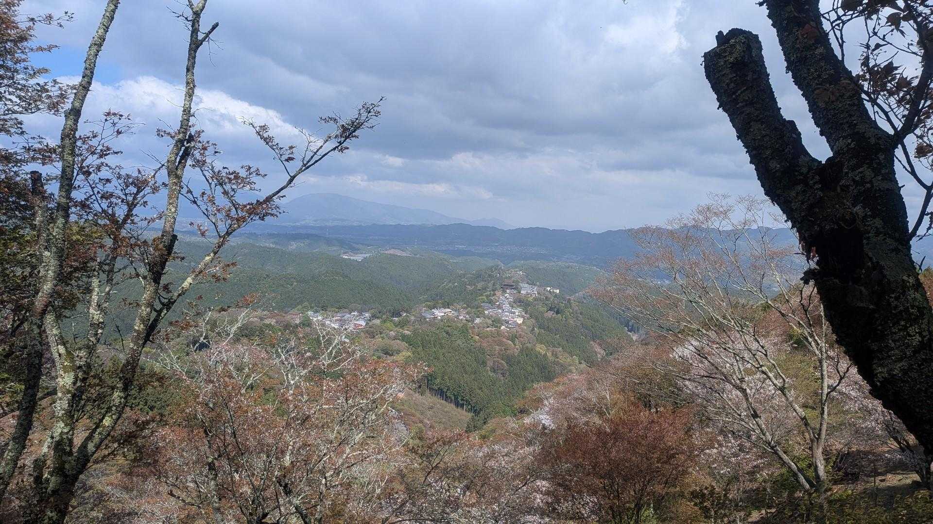 見たことない景色🤩🤩🤩