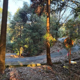 山から出て、しばらく舗装路を進む👉