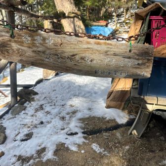 動物食堂主任　りす🥰🐿️