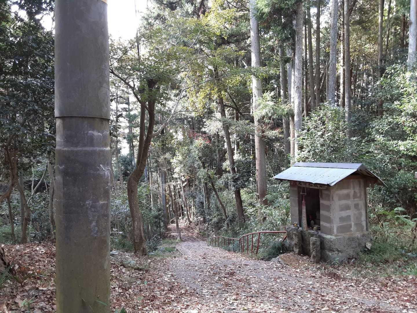 伝わらへんけど凄い坂。