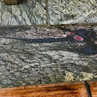 今日も1111
ｴﾝｼﾞｪﾙﾅﾝﾊﾞｰ✨

今日の待受は
三峯神社の龍の石だよー🐉

車のﾅﾝﾊﾞｰ1111も2台見つけたし
何かが始まるのかな？😍