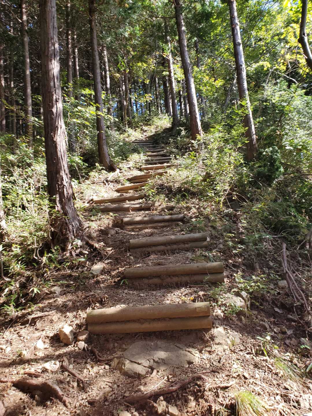 石老山 往復コースの写真