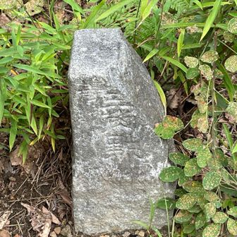 二等三角点
大佛山　707.96m