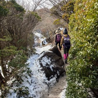 温泉♨️♨️温泉と