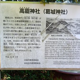 ほうほう。この辺はやたら神社が多いし、何となく奈良の葛󠄀城市とはまた違うものを感じる。