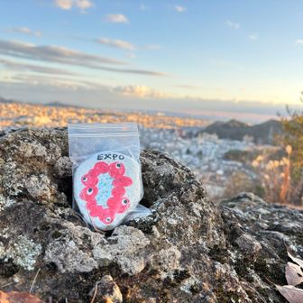 火山角礫岩🪨の上にミャクミャクワロックがありました☺️