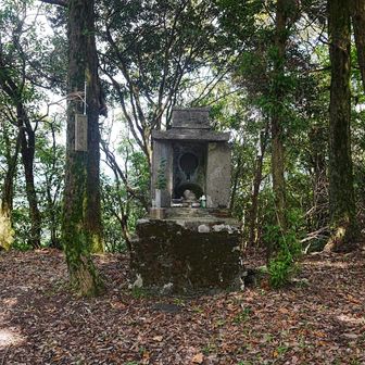 矢越神社
中に珊瑚が祀ってあった