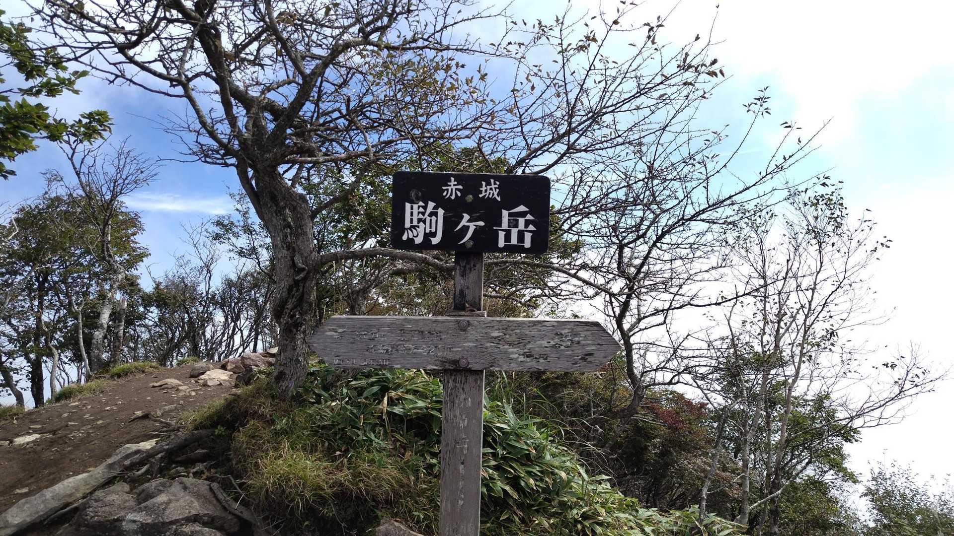 登頂成功✌️