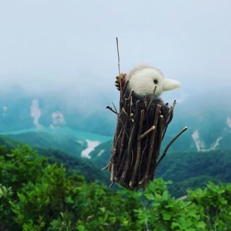くろ登山部　ぺろめ