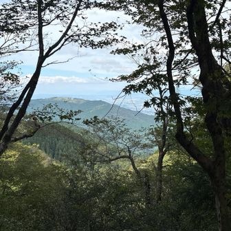ハゲた葛城山